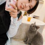 【タイ旅】子連れ旅✕チェンマイは猫カフェもおすすめ