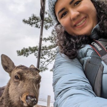 3c067cc8-d5d6-4aea-823c-5134b3a87523