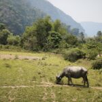 【2026】ラオスバンビエン節約デーでも満足度高すぎ｜洞窟×川遊び×ローカル飯の出費まとめ
