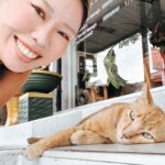 【2026年最新】パタヤからバンコクへバスで移動！北バスターミナル→エカマイの乗り方・料金を解説
